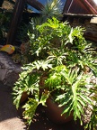 IMG 20180824 160714