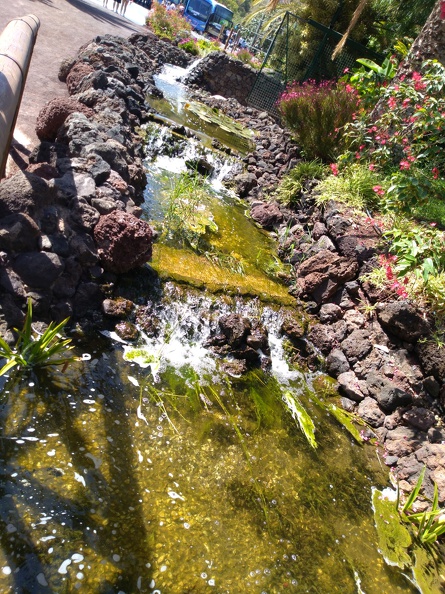 IMG_20180824_161238.jpg
