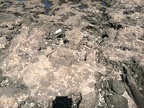 IMG 20180825 153218