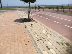 IMG 20180829 144117