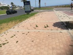 IMG 20180829 144120