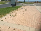 IMG 20180829 144133