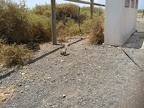 IMG 20180829 144459