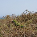 IMG 20180829 151751