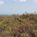 IMG 20180829 151759