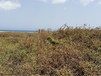 IMG 20180829 151759