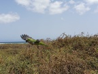 IMG 20180829 151803